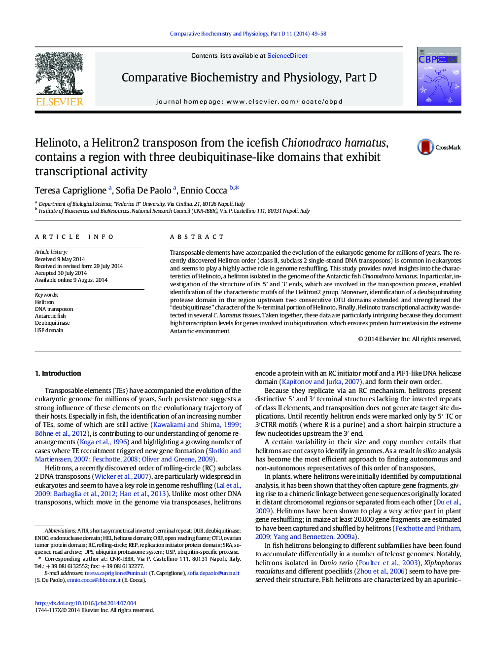 Helinoto, a Helitron2 transposon from the icefish Chionodraco hamatus, contains a region with three deubiquitinase-like domains that exhibit transcriptional activity