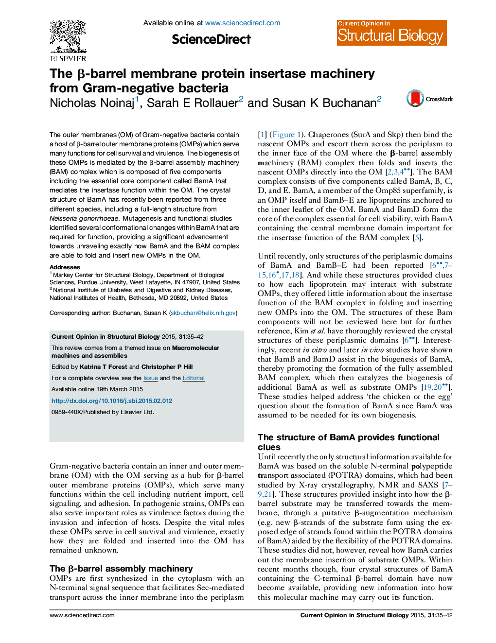 The β-barrel membrane protein insertase machinery from Gram-negative bacteria