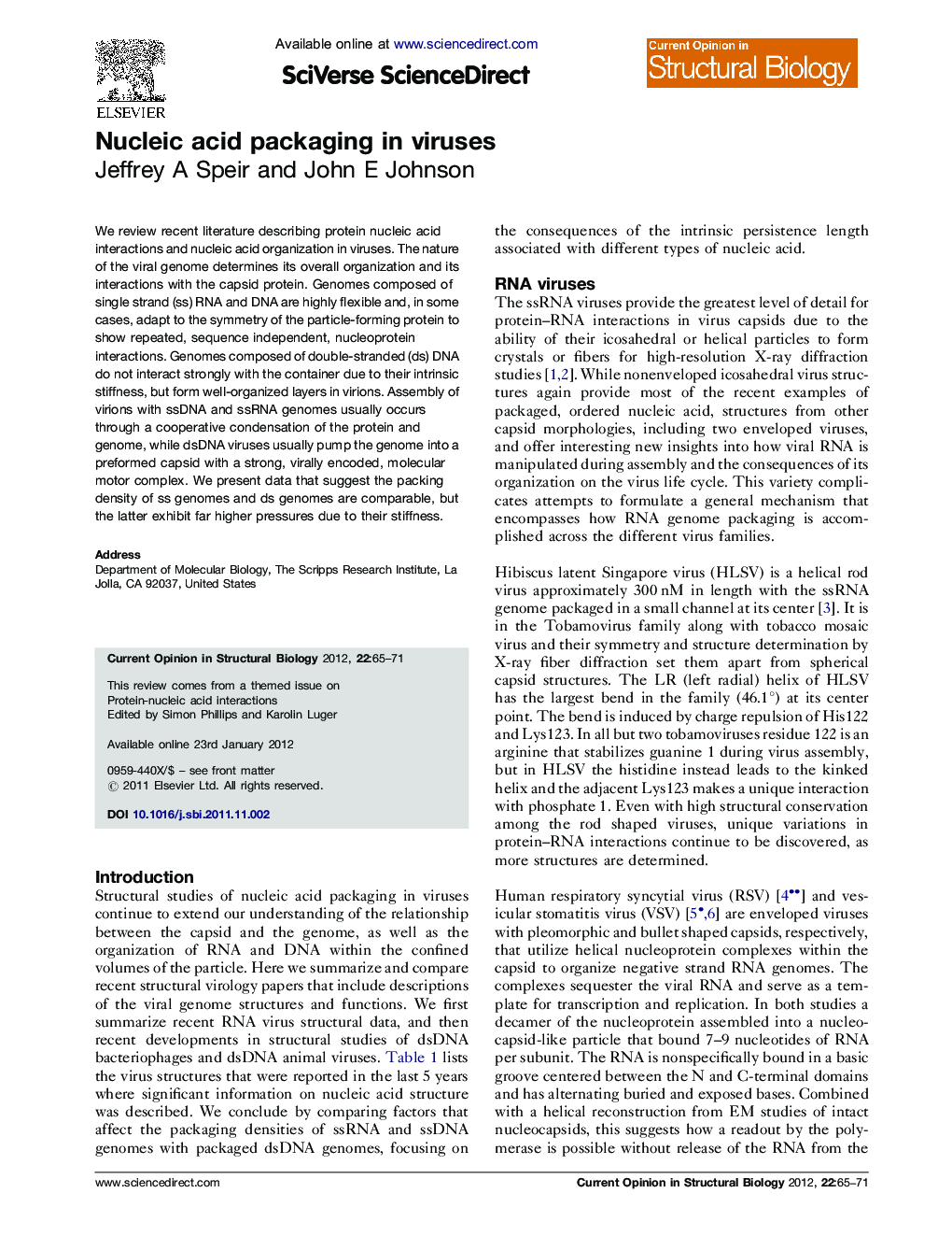 Nucleic acid packaging in viruses