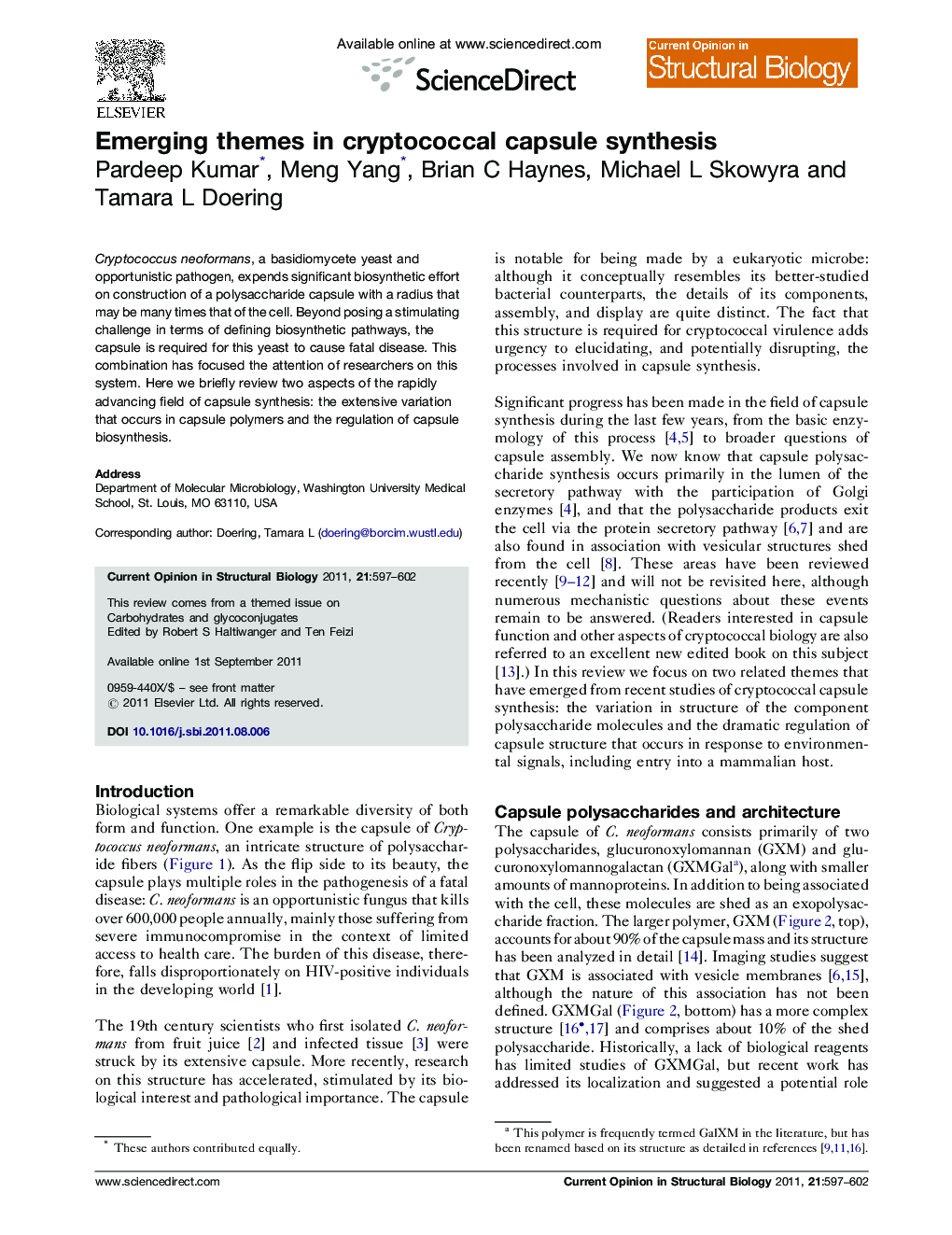 Emerging themes in cryptococcal capsule synthesis