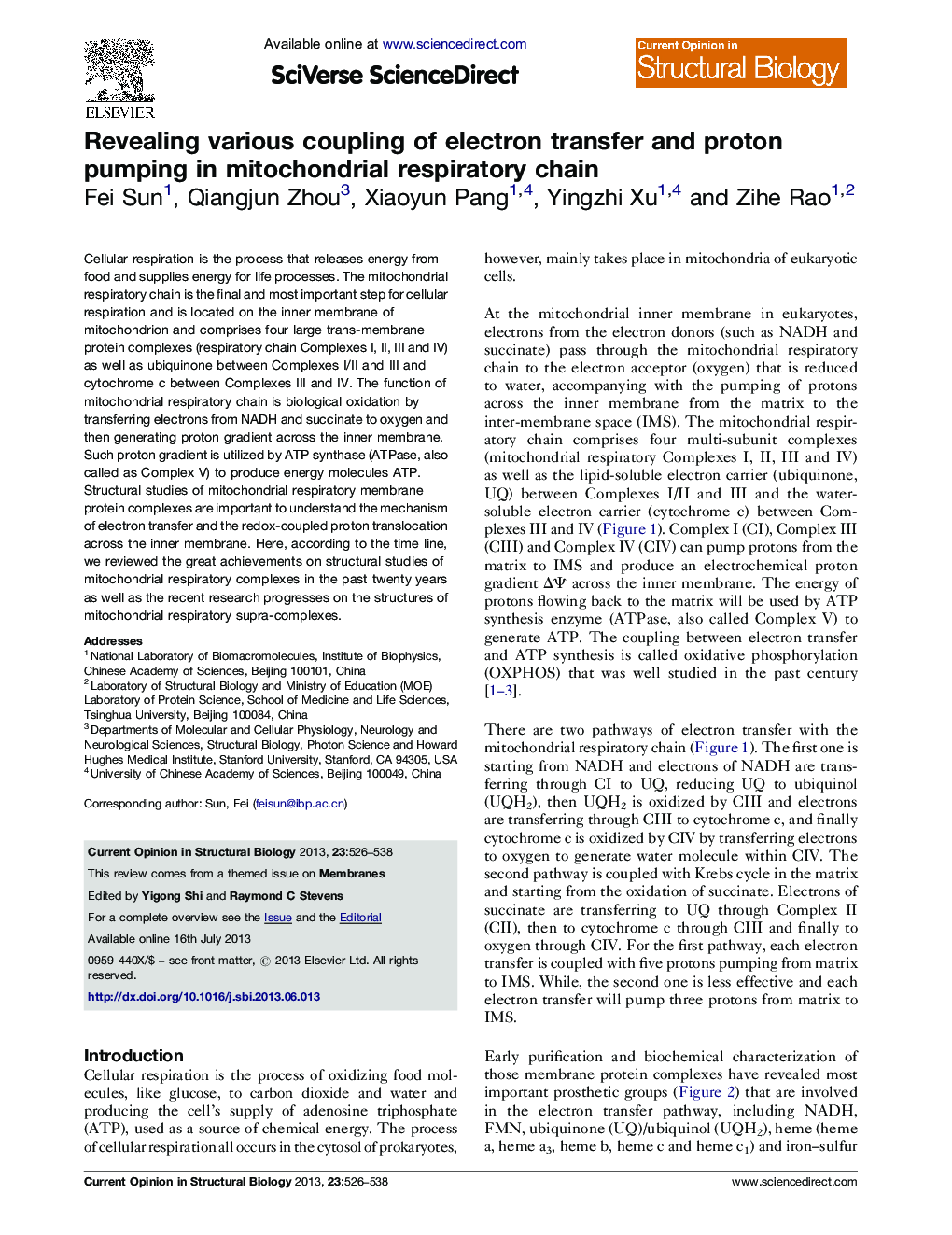 Revealing various coupling of electron transfer and proton pumping in mitochondrial respiratory chain