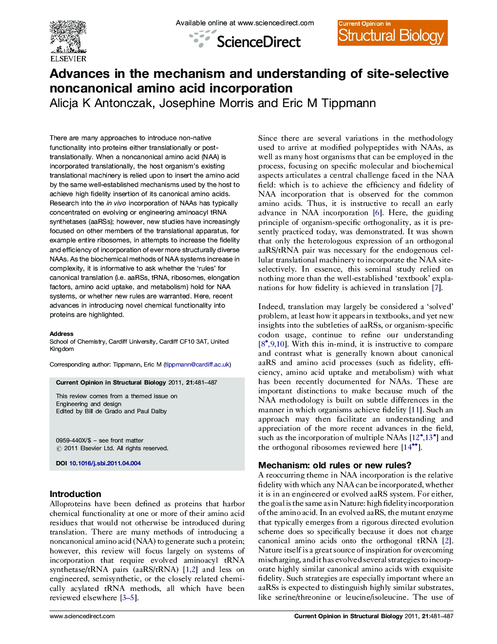 Advances in the mechanism and understanding of site-selective noncanonical amino acid incorporation