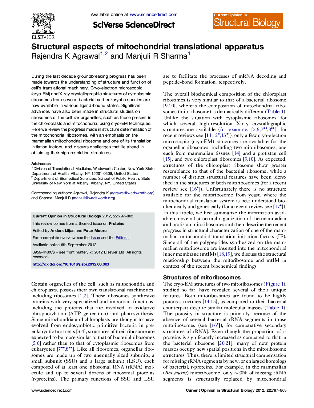 Structural aspects of mitochondrial translational apparatus