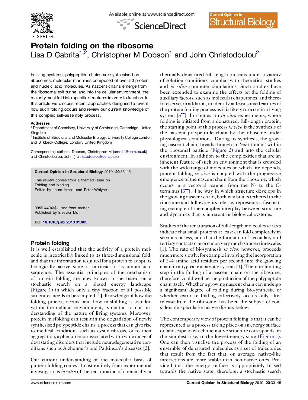 Protein folding on the ribosome