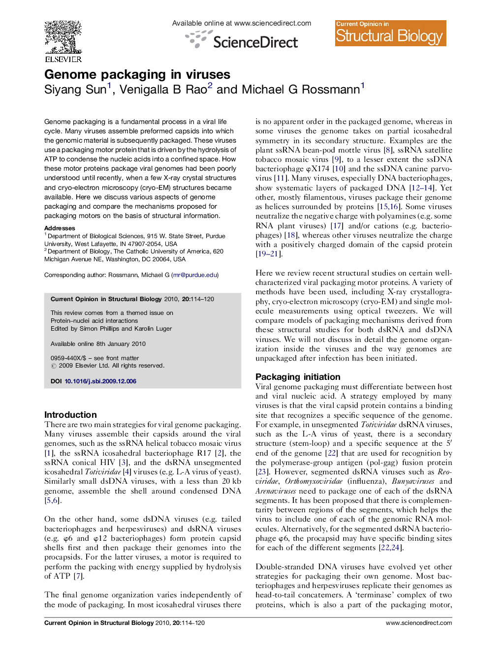 Genome packaging in viruses