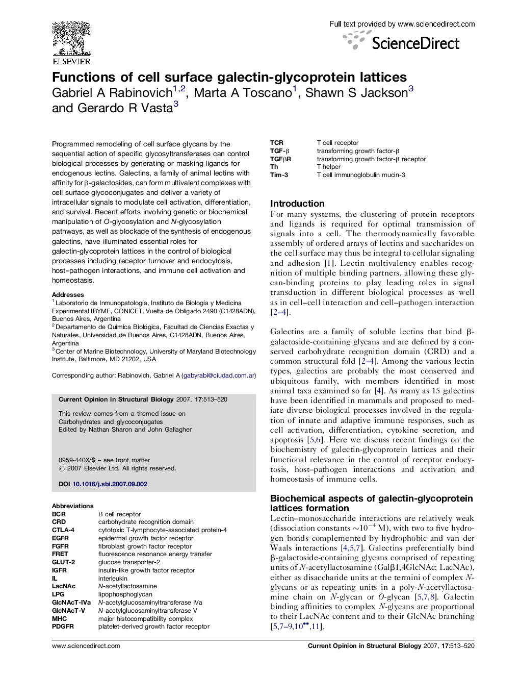 Functions of cell surface galectin-glycoprotein lattices