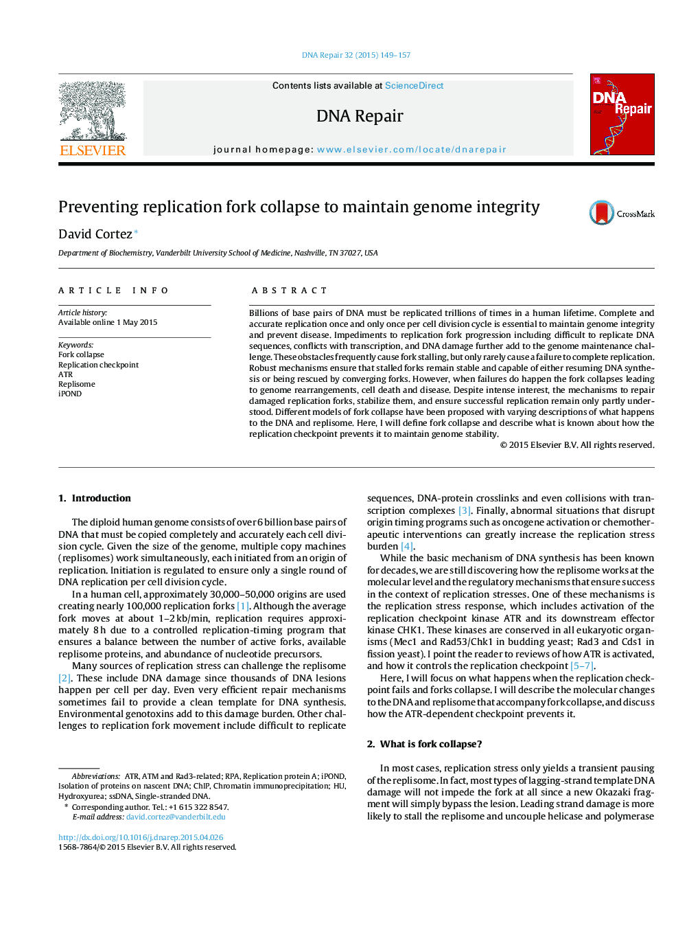 Preventing replication fork collapse to maintain genome integrity