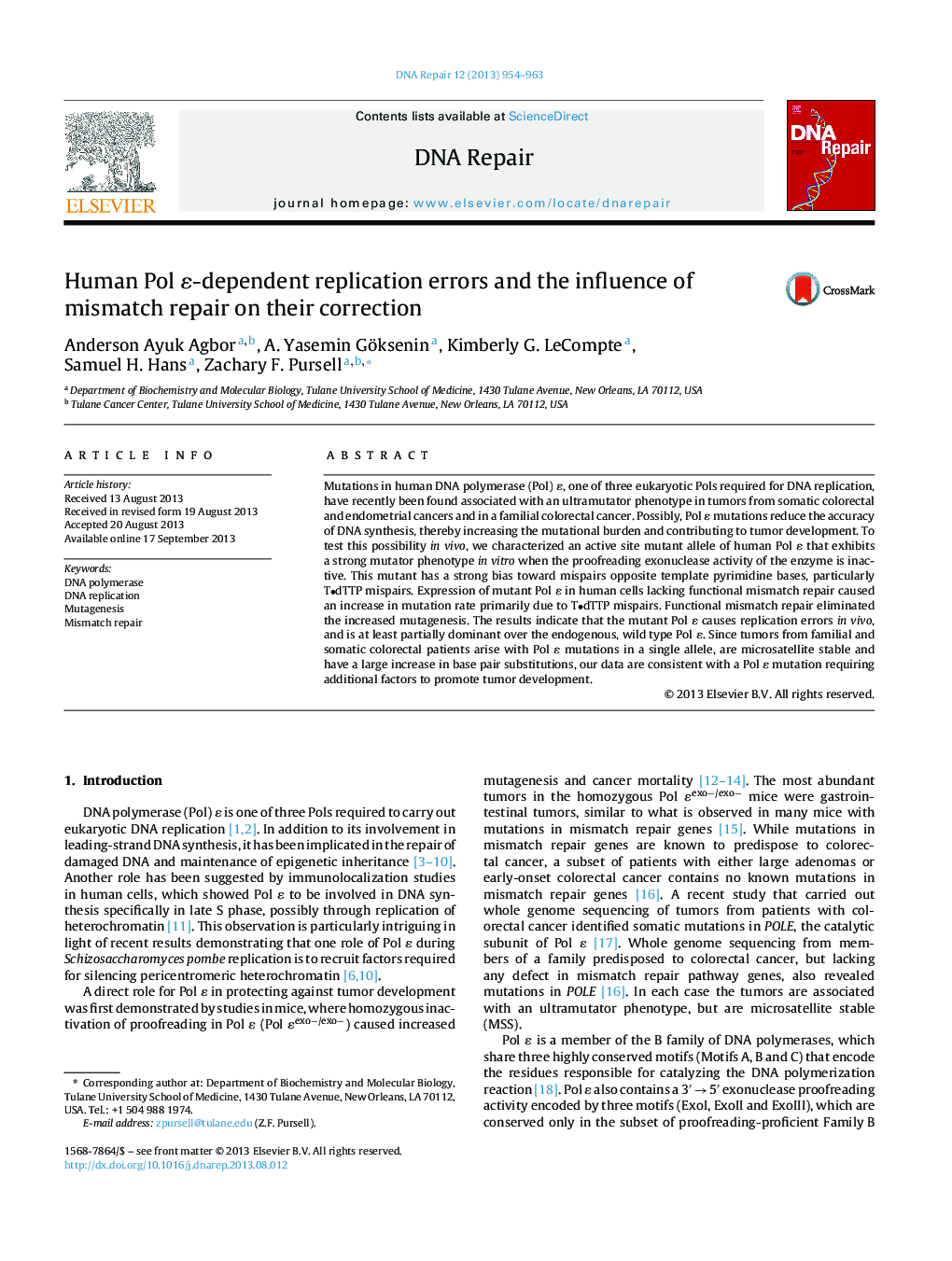 Human Pol ɛ-dependent replication errors and the influence of mismatch repair on their correction