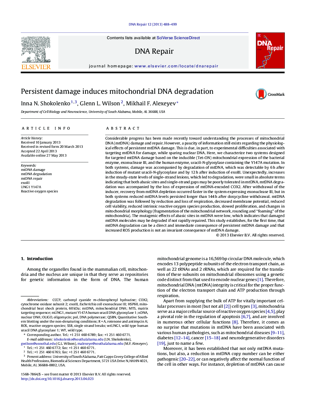 Persistent damage induces mitochondrial DNA degradation