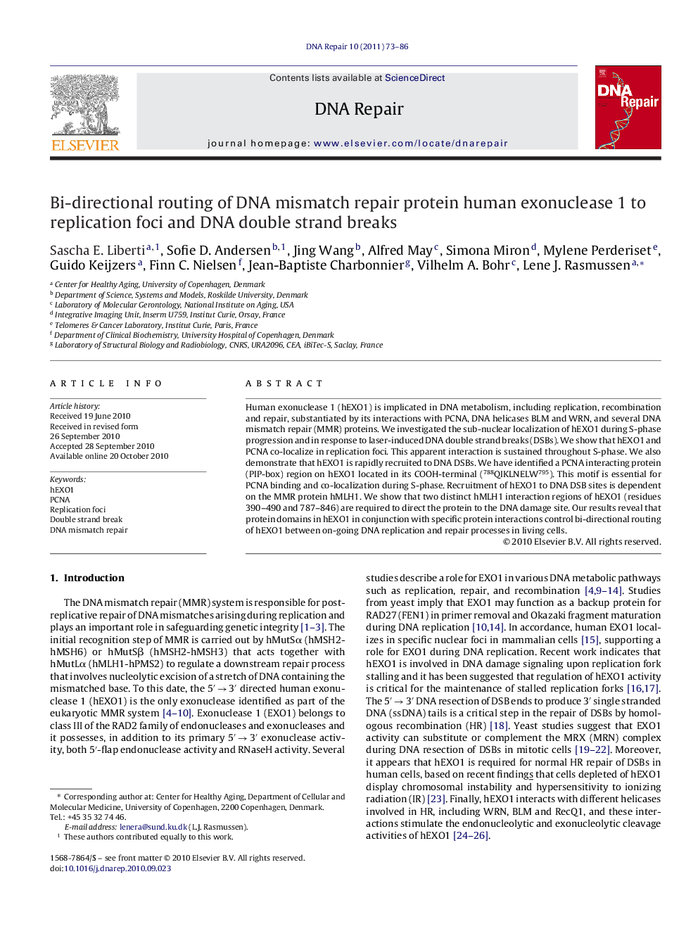 Bi-directional routing of DNA mismatch repair protein human exonuclease 1 to replication foci and DNA double strand breaks