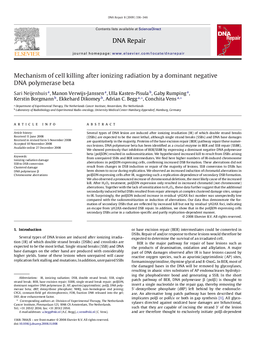 Mechanism of cell killing after ionizing radiation by a dominant negative DNA polymerase beta