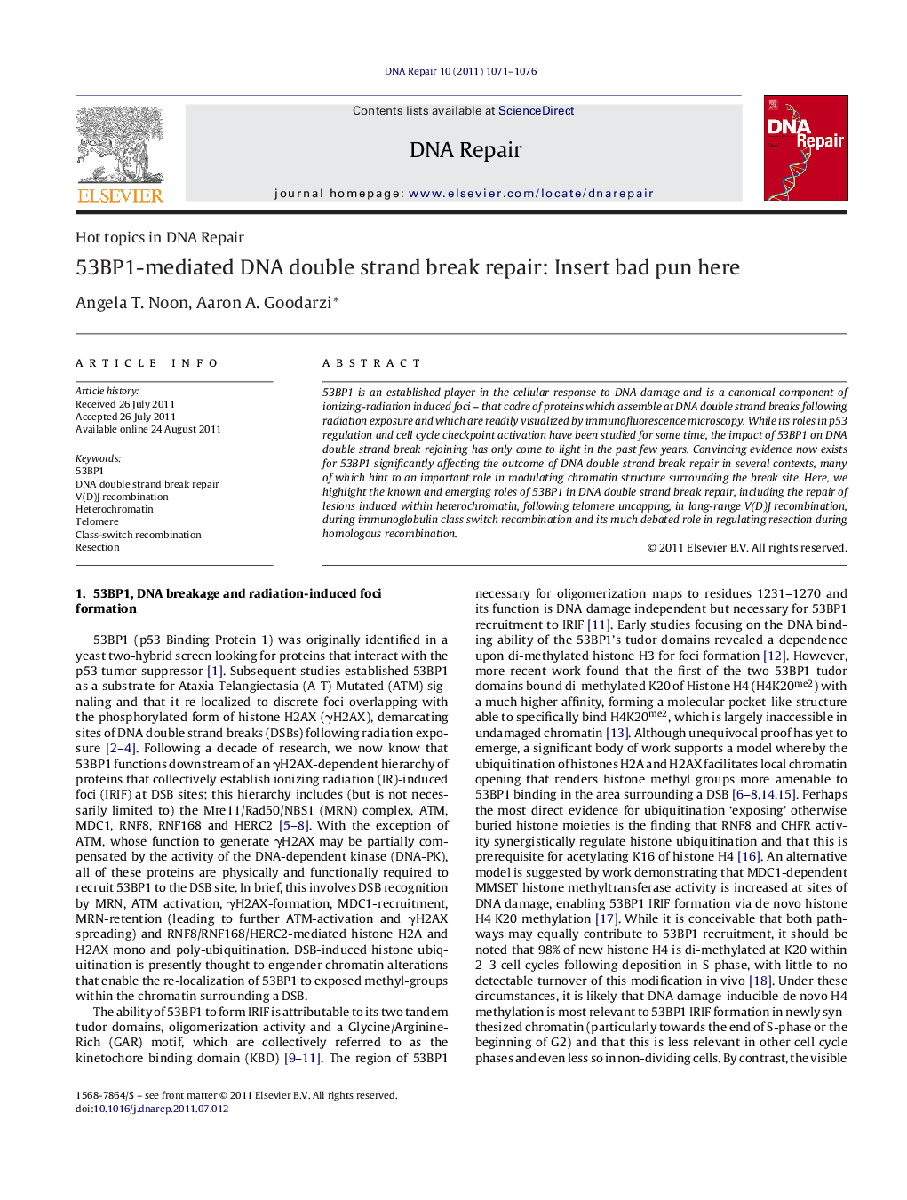 53BP1-mediated DNA double strand break repair: Insert bad pun here