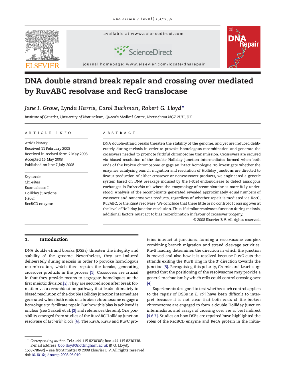 DNA double strand break repair and crossing over mediated by RuvABC resolvase and RecG translocase