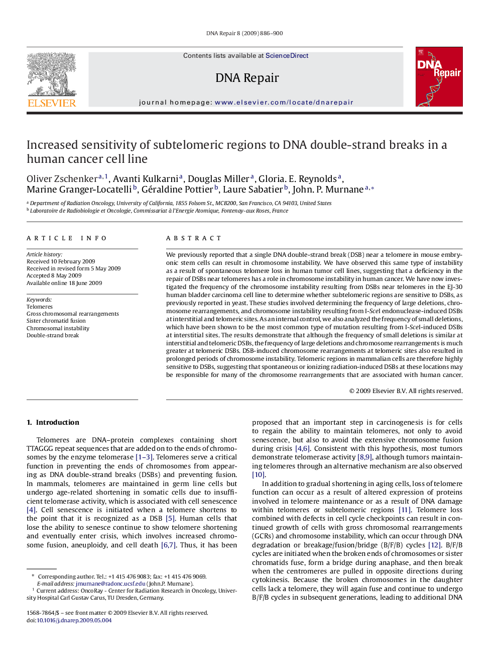 Increased sensitivity of subtelomeric regions to DNA double-strand breaks in a human cancer cell line