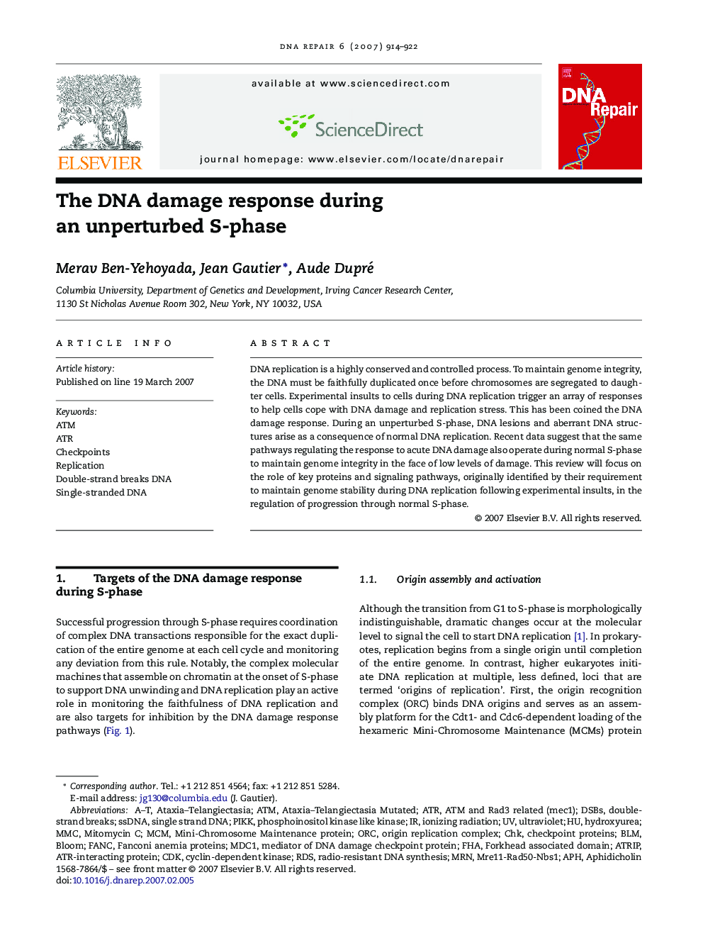 The DNA damage response during an unperturbed S-phase