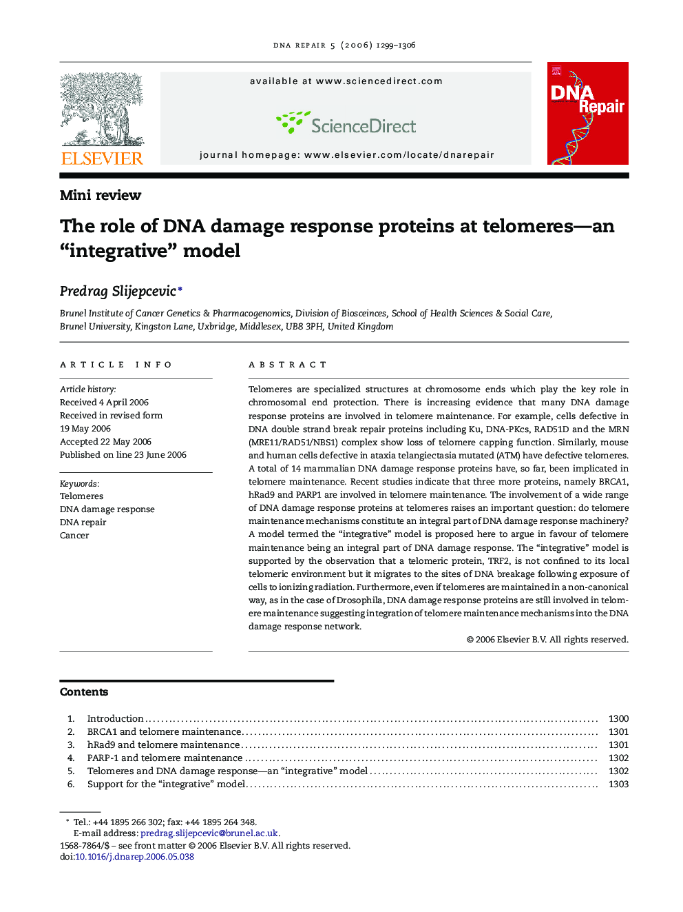 The role of DNA damage response proteins at telomeres-an “integrative” model