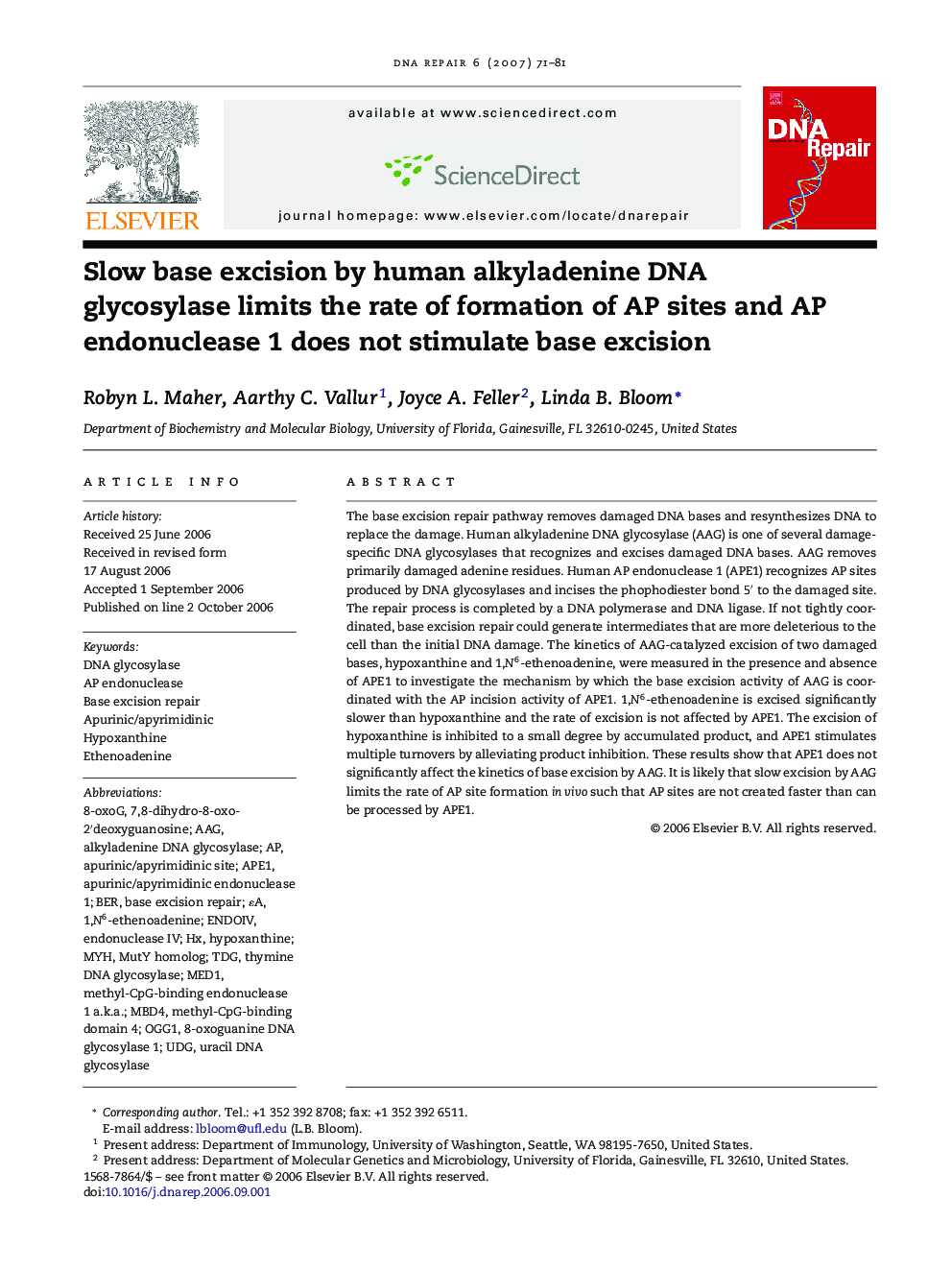 Slow base excision by human alkyladenine DNA glycosylase limits the rate of formation of AP sites and AP endonuclease 1 does not stimulate base excision