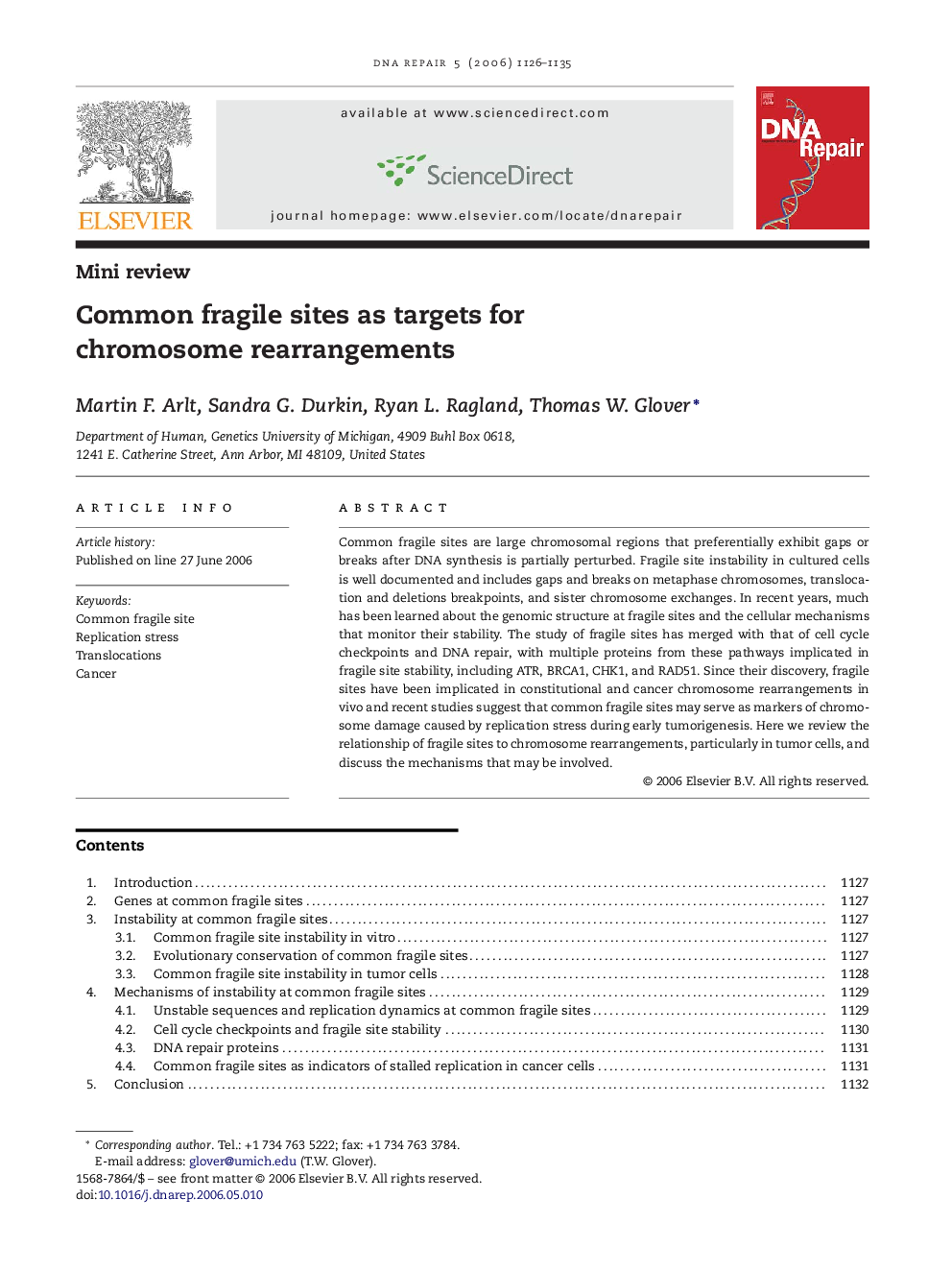 Common fragile sites as targets for chromosome rearrangements