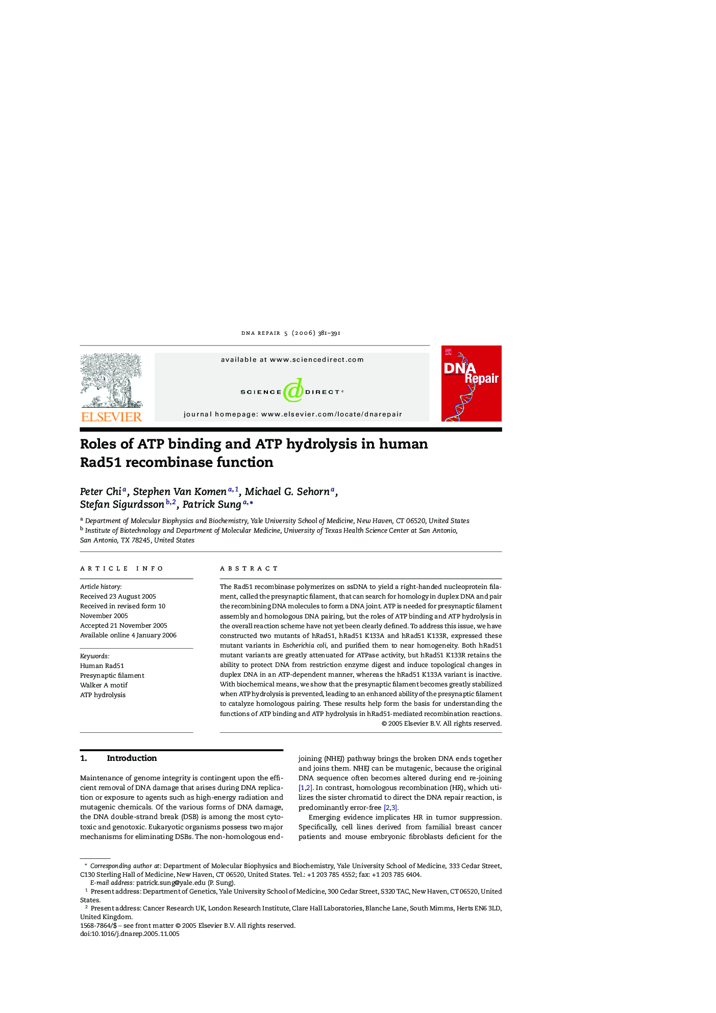 Roles of ATP binding and ATP hydrolysis in human Rad51 recombinase function