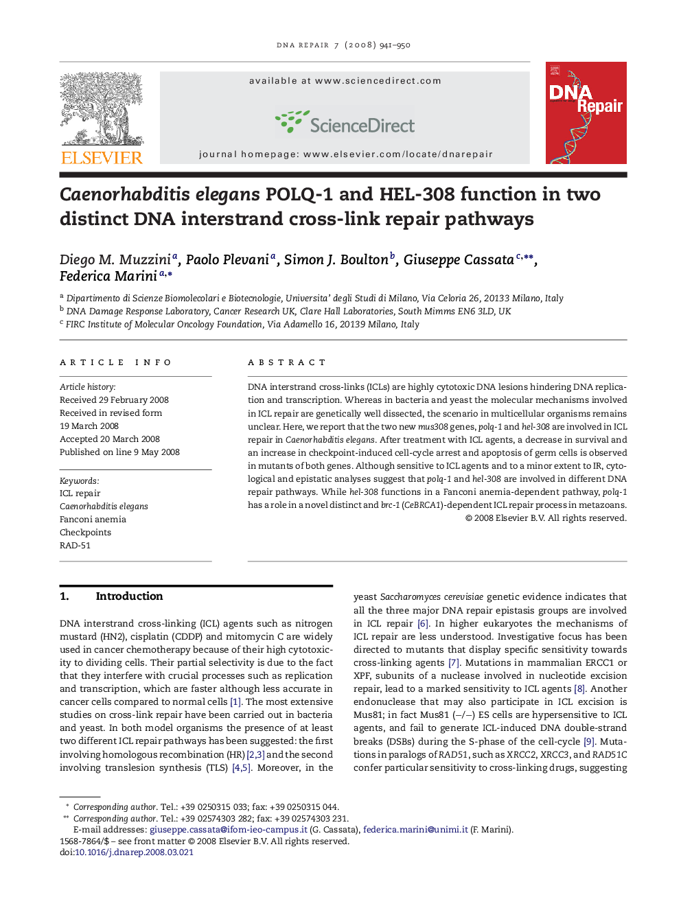 Caenorhabditis elegans POLQ-1 and HEL-308 function in two distinct DNA interstrand cross-link repair pathways