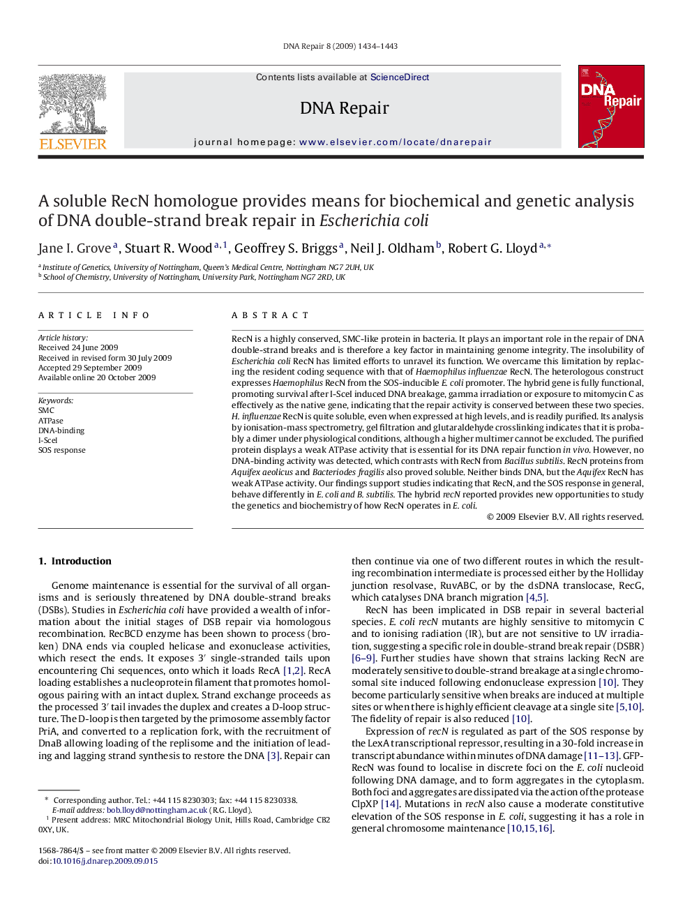 A soluble RecN homologue provides means for biochemical and genetic analysis of DNA double-strand break repair in Escherichia coli