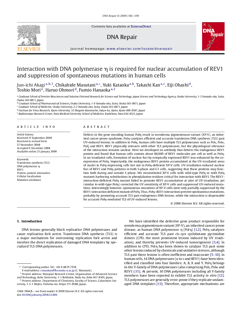 Interaction with DNA polymerase η is required for nuclear accumulation of REV1 and suppression of spontaneous mutations in human cells