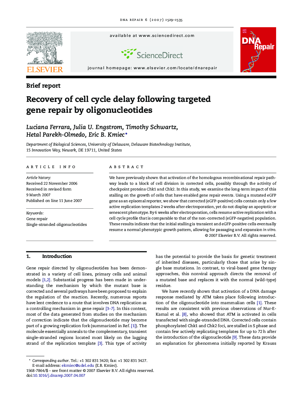 Recovery of cell cycle delay following targeted gene repair by oligonucleotides