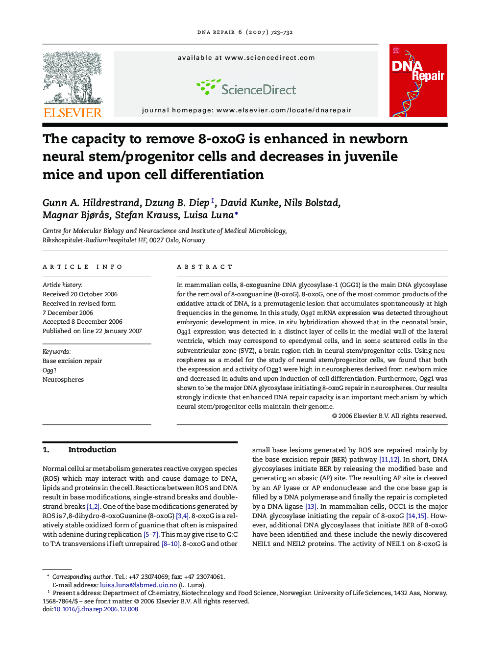 The capacity to remove 8-oxoG is enhanced in newborn neural stem/progenitor cells and decreases in juvenile mice and upon cell differentiation