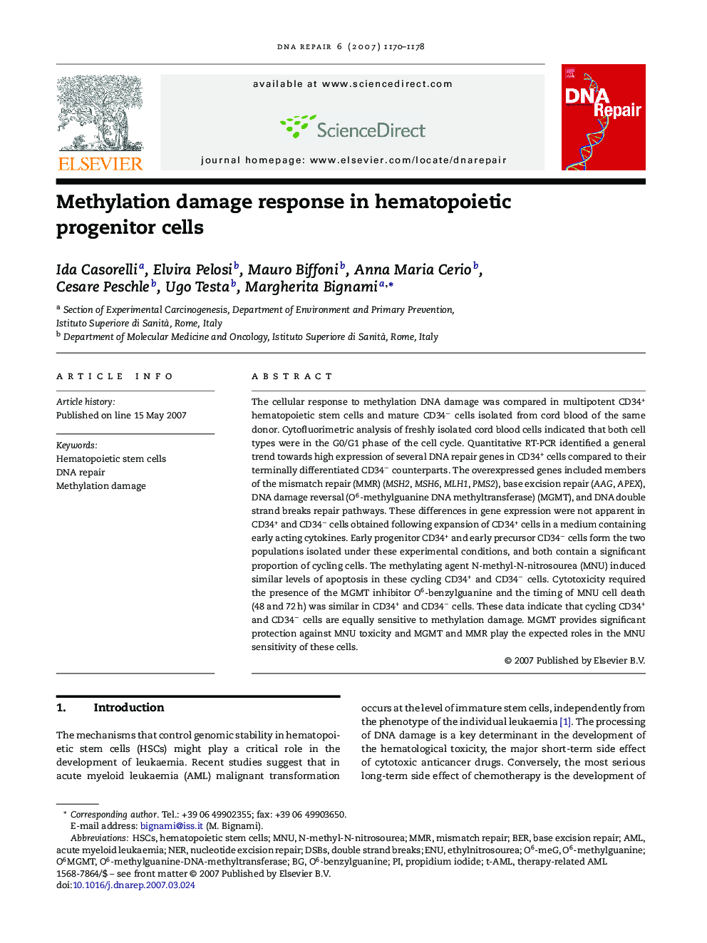 Methylation damage response in hematopoietic progenitor cells