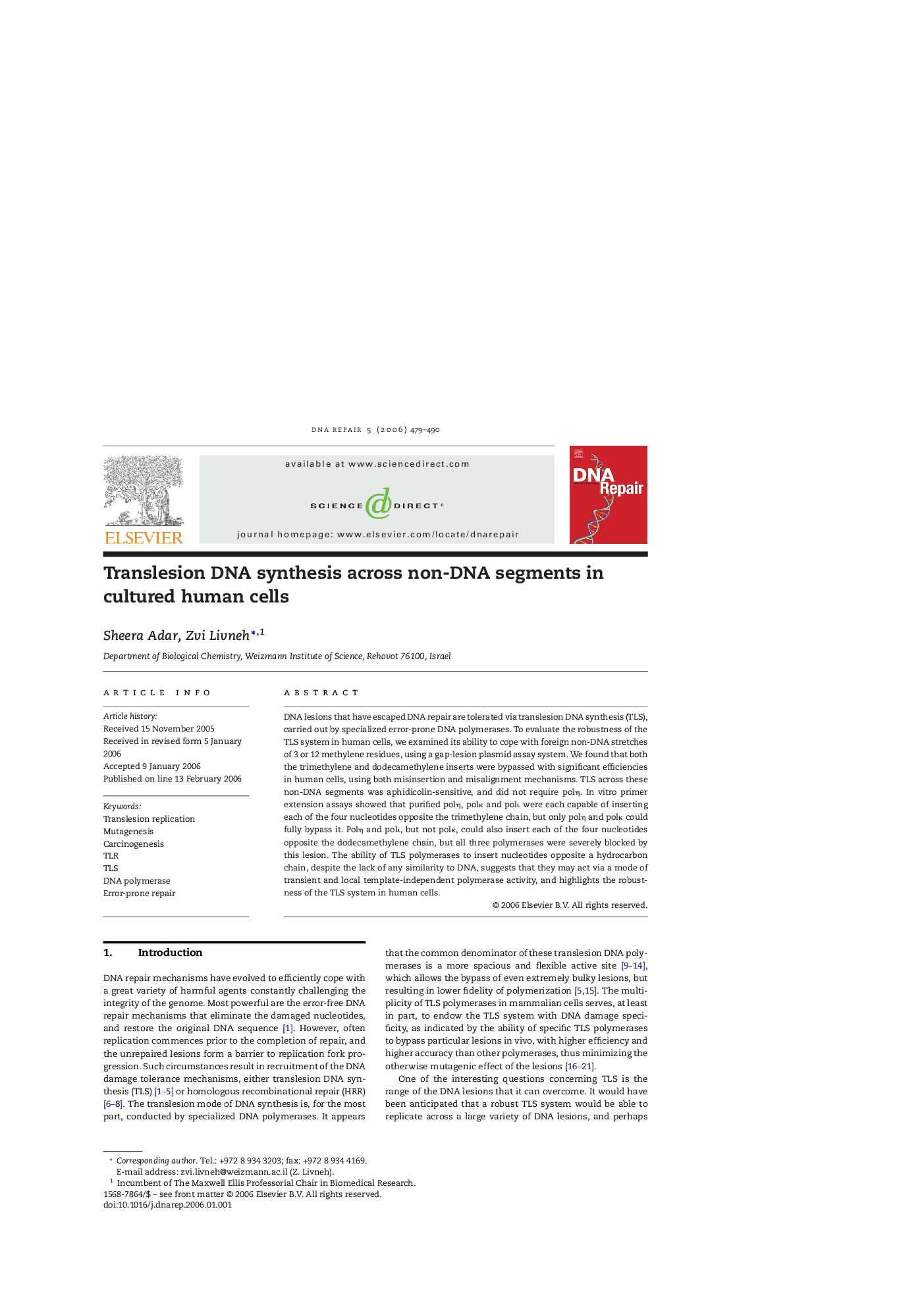 Translesion DNA synthesis across non-DNA segments in cultured human cells