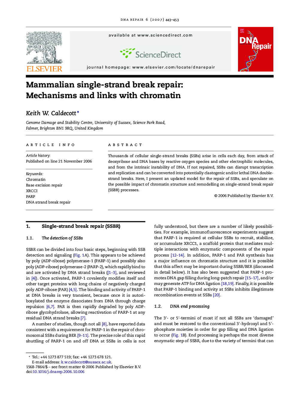 Mammalian single-strand break repair: Mechanisms and links with chromatin