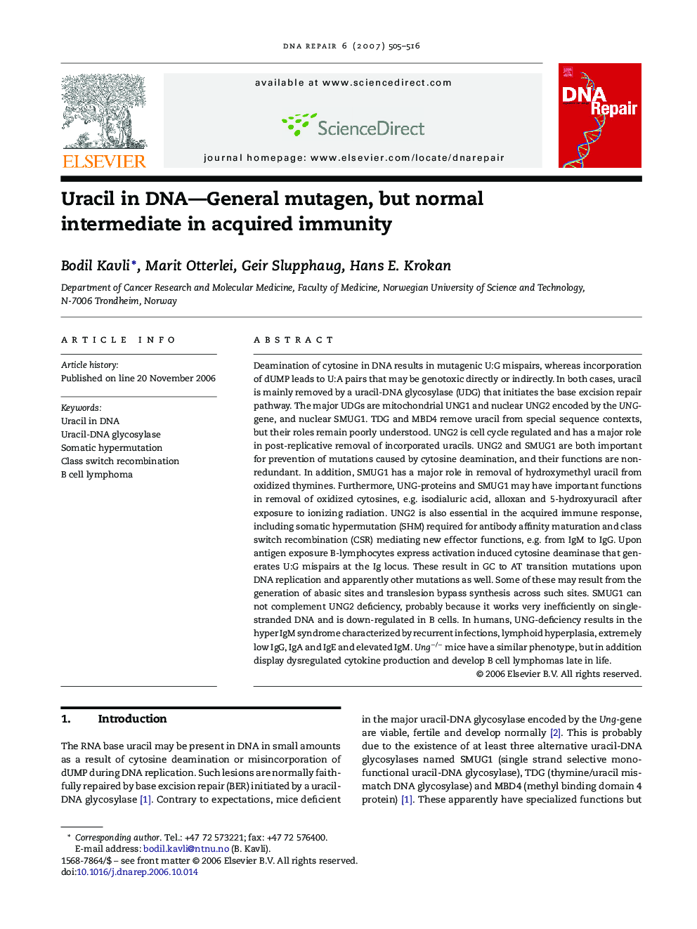 Uracil in DNA—General mutagen, but normal intermediate in acquired immunity