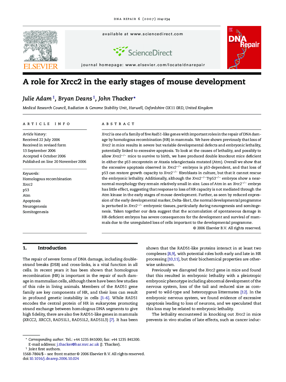 A role for Xrcc2 in the early stages of mouse development