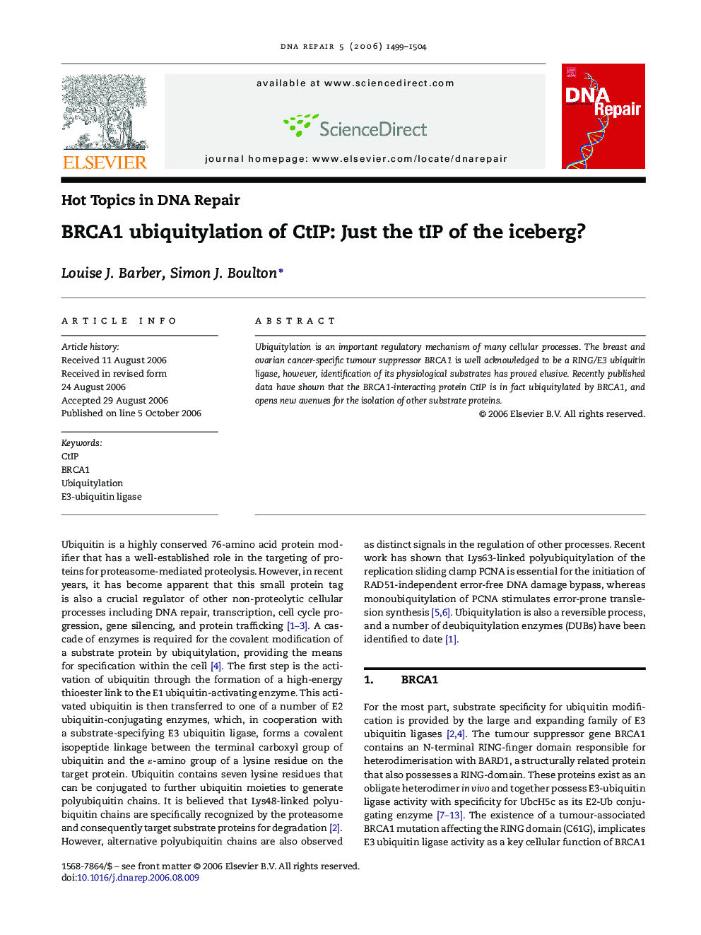 BRCA1 ubiquitylation of CtIP: Just the tIP of the iceberg?