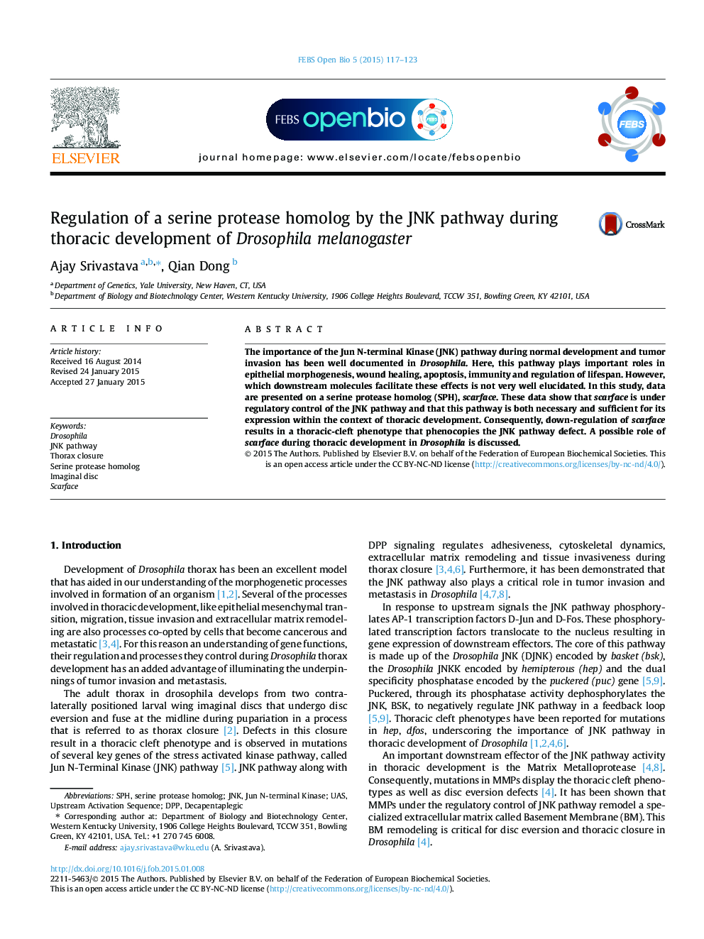 Regulation of a serine protease homolog by the JNK pathway during thoracic development of Drosophila melanogaster