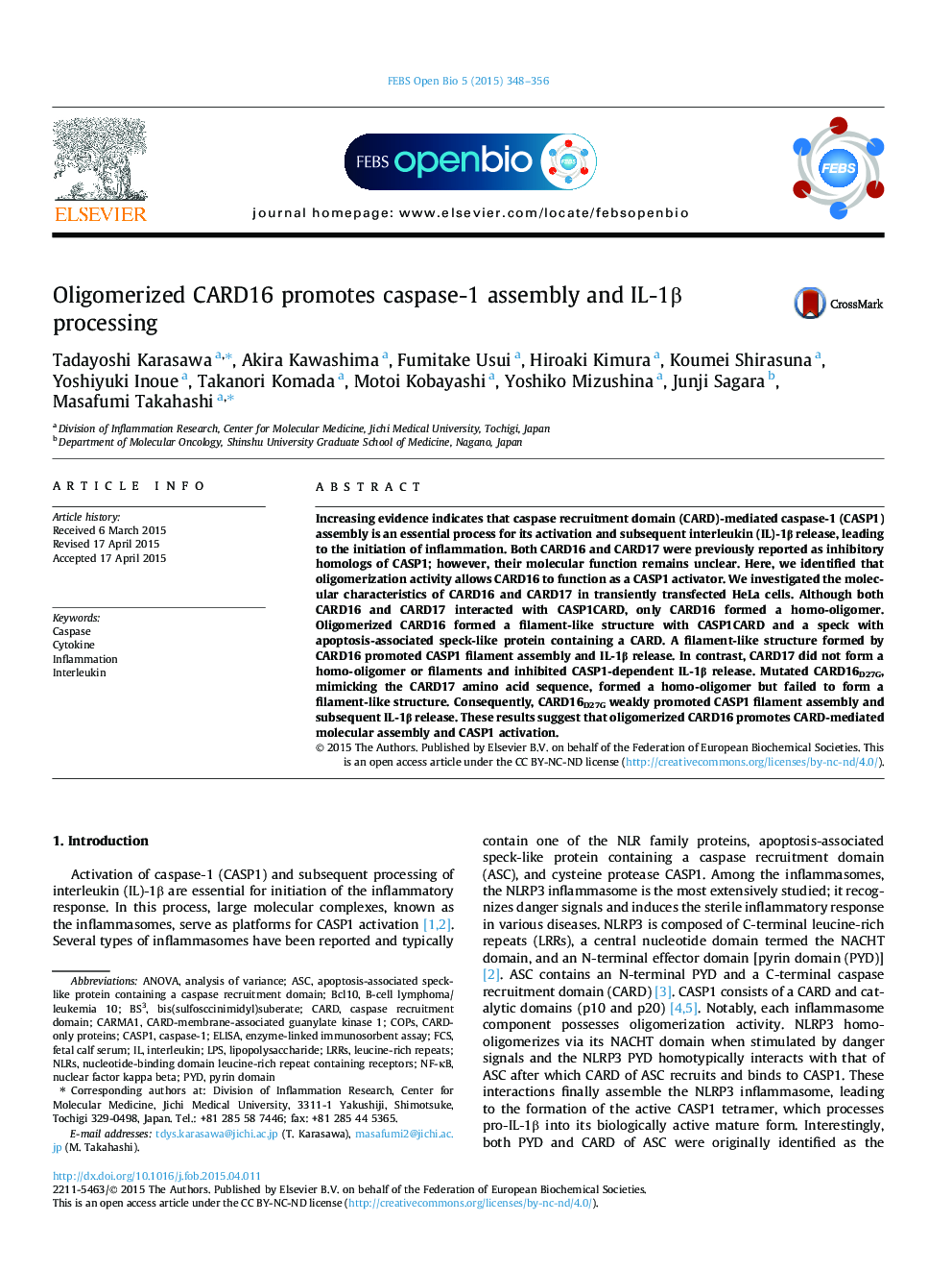 Oligomerized CARD16 promotes caspase-1 assembly and IL-1β processing