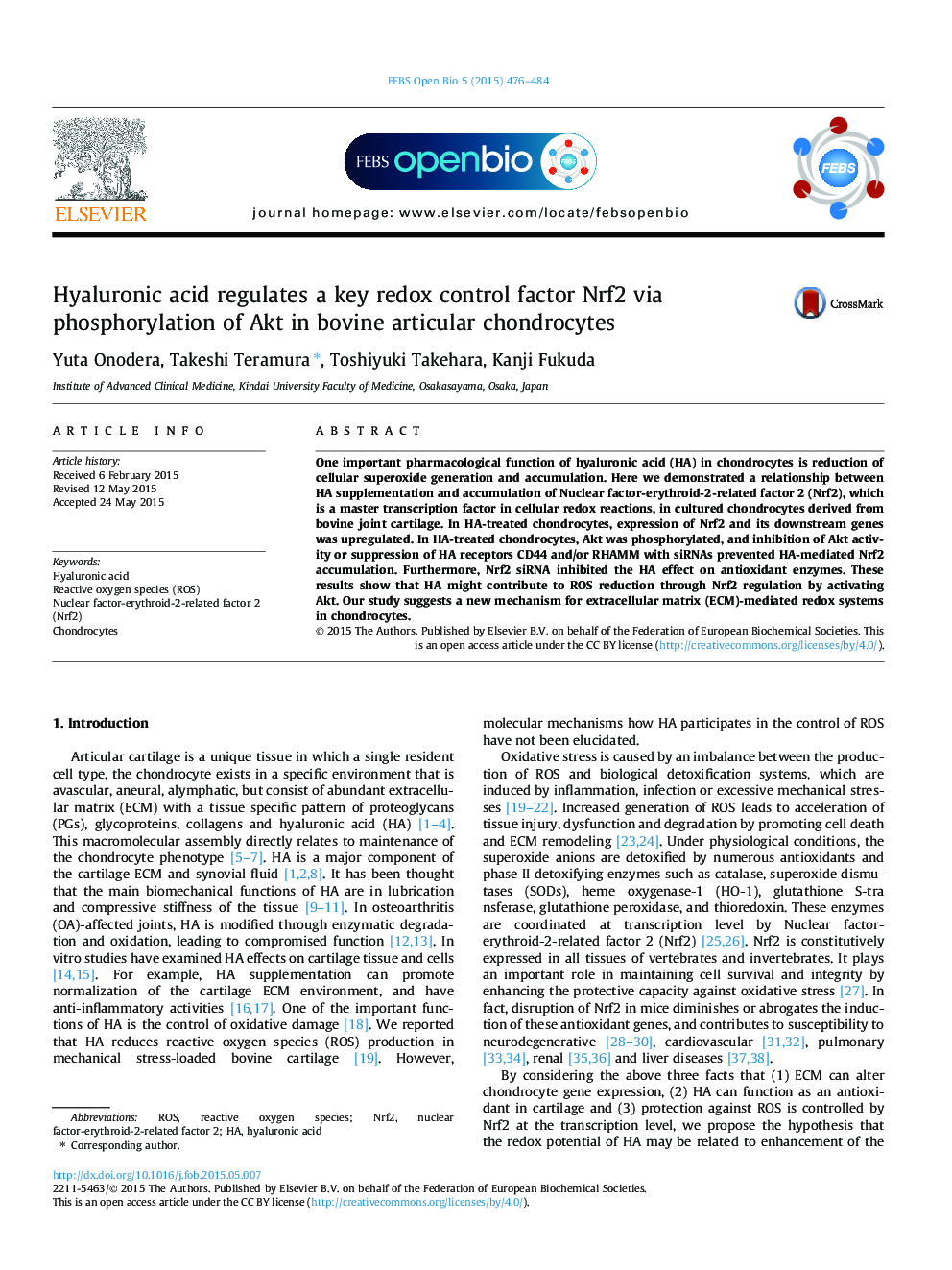 Hyaluronic acid regulates a key redox control factor Nrf2 via phosphorylation of Akt in bovine articular chondrocytes