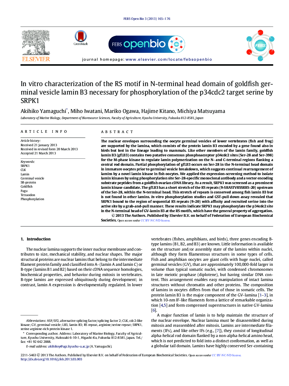 In vitro characterization of the RS motif in N-terminal head domain of goldfish germinal vesicle lamin B3 necessary for phosphorylation of the p34cdc2 target serine by SRPK1