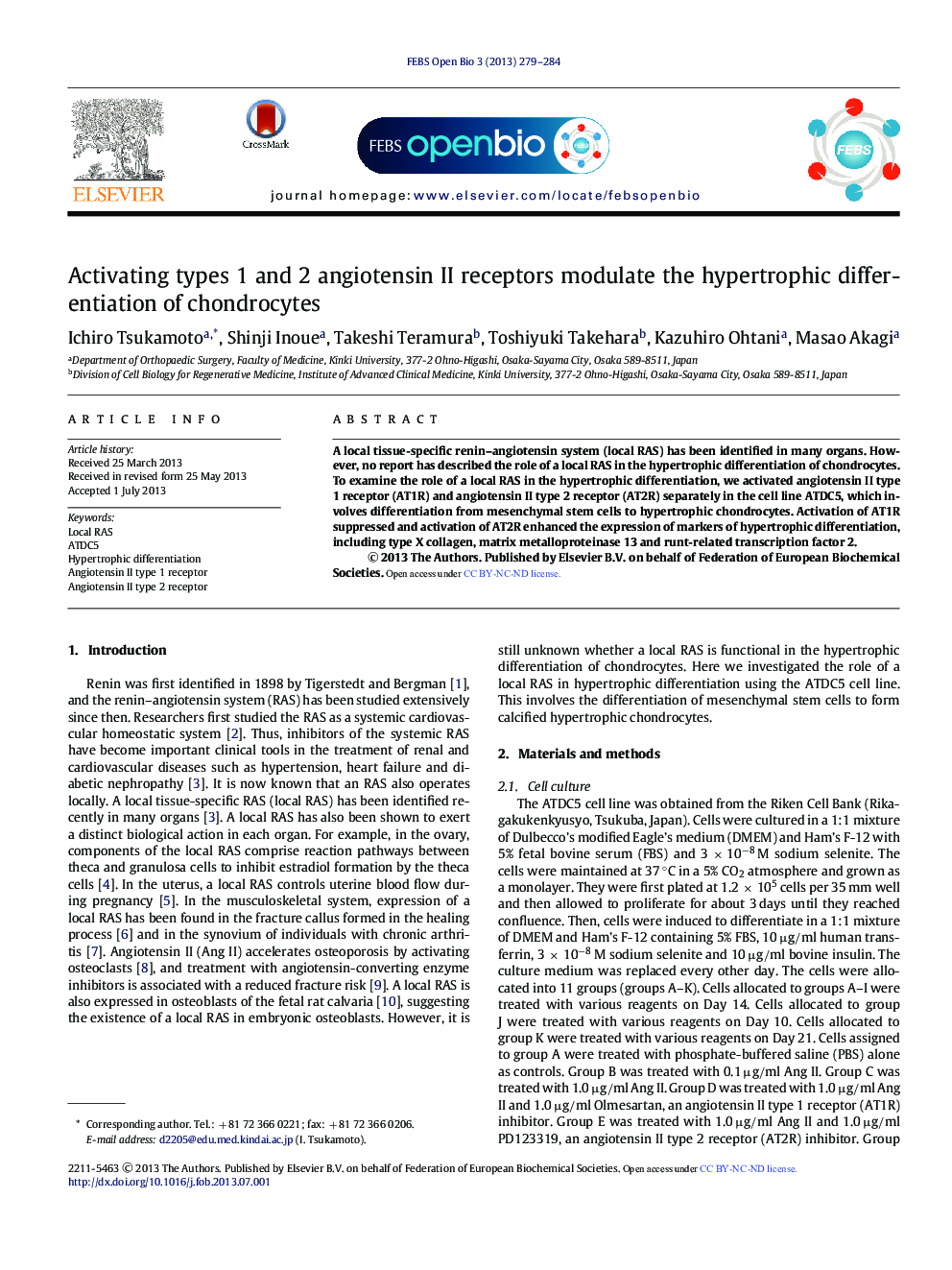 Activating types 1 and 2 angiotensin II receptors modulate the hypertrophic differentiation of chondrocytes