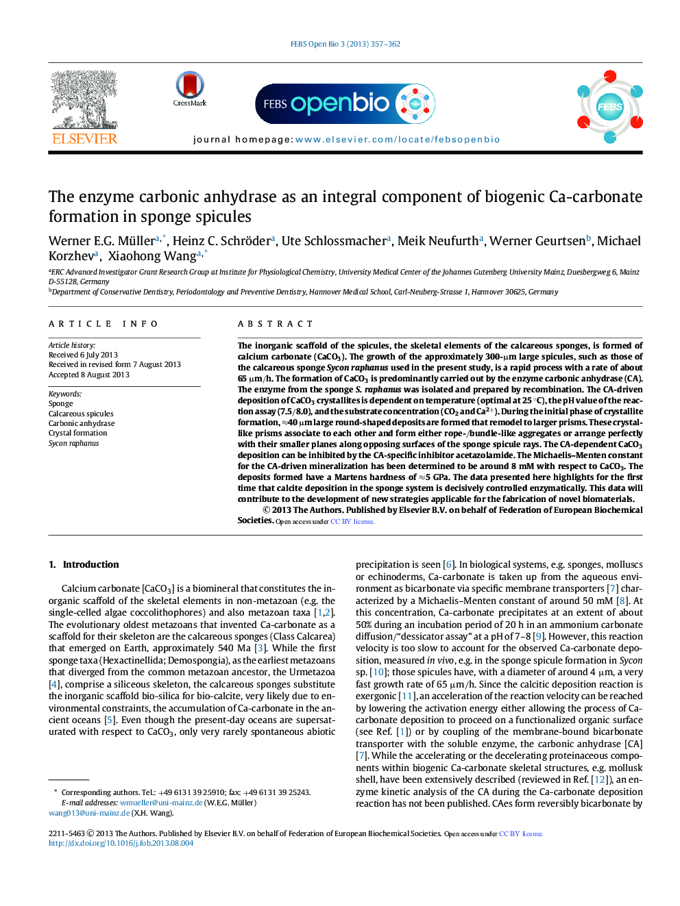 The enzyme carbonic anhydrase as an integral component of biogenic Ca-carbonate formation in sponge spicules