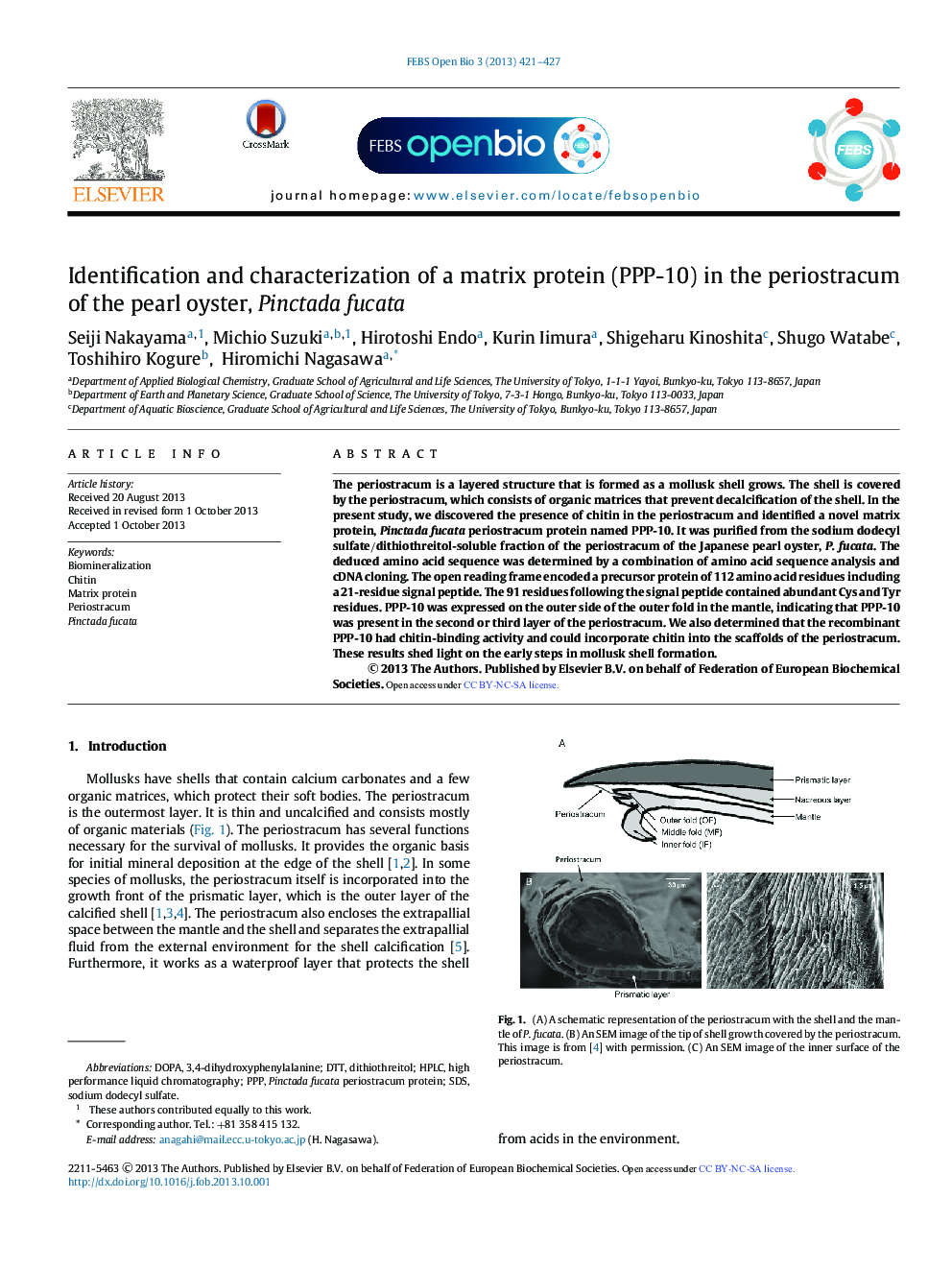 Identification and characterization of a matrix protein (PPP-10) in the periostracum of the pearl oyster, Pinctada fucata