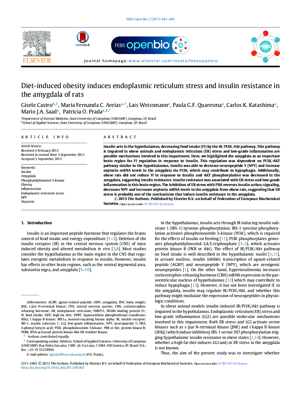 Diet-induced obesity induces endoplasmic reticulum stress and insulin resistance in the amygdala of rats