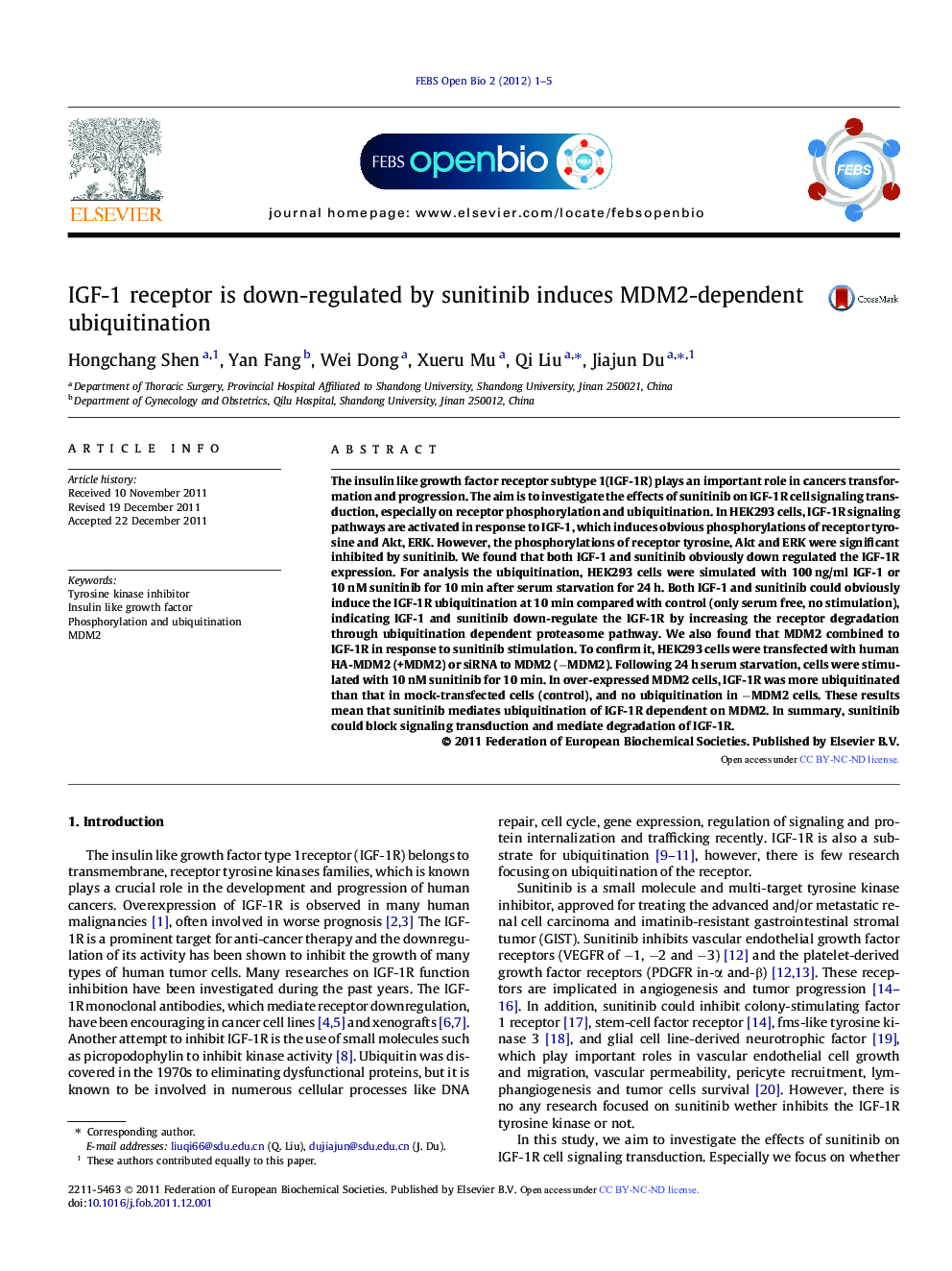 IGF-1 receptor is down-regulated by sunitinib induces MDM2-dependent ubiquitination