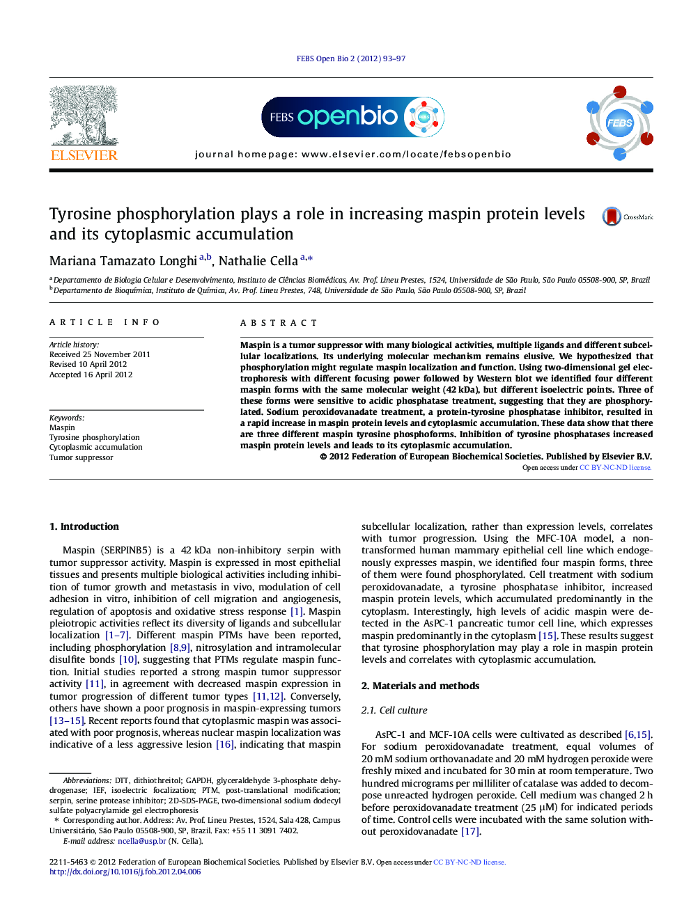 Tyrosine phosphorylation plays a role in increasing maspin protein levels and its cytoplasmic accumulation