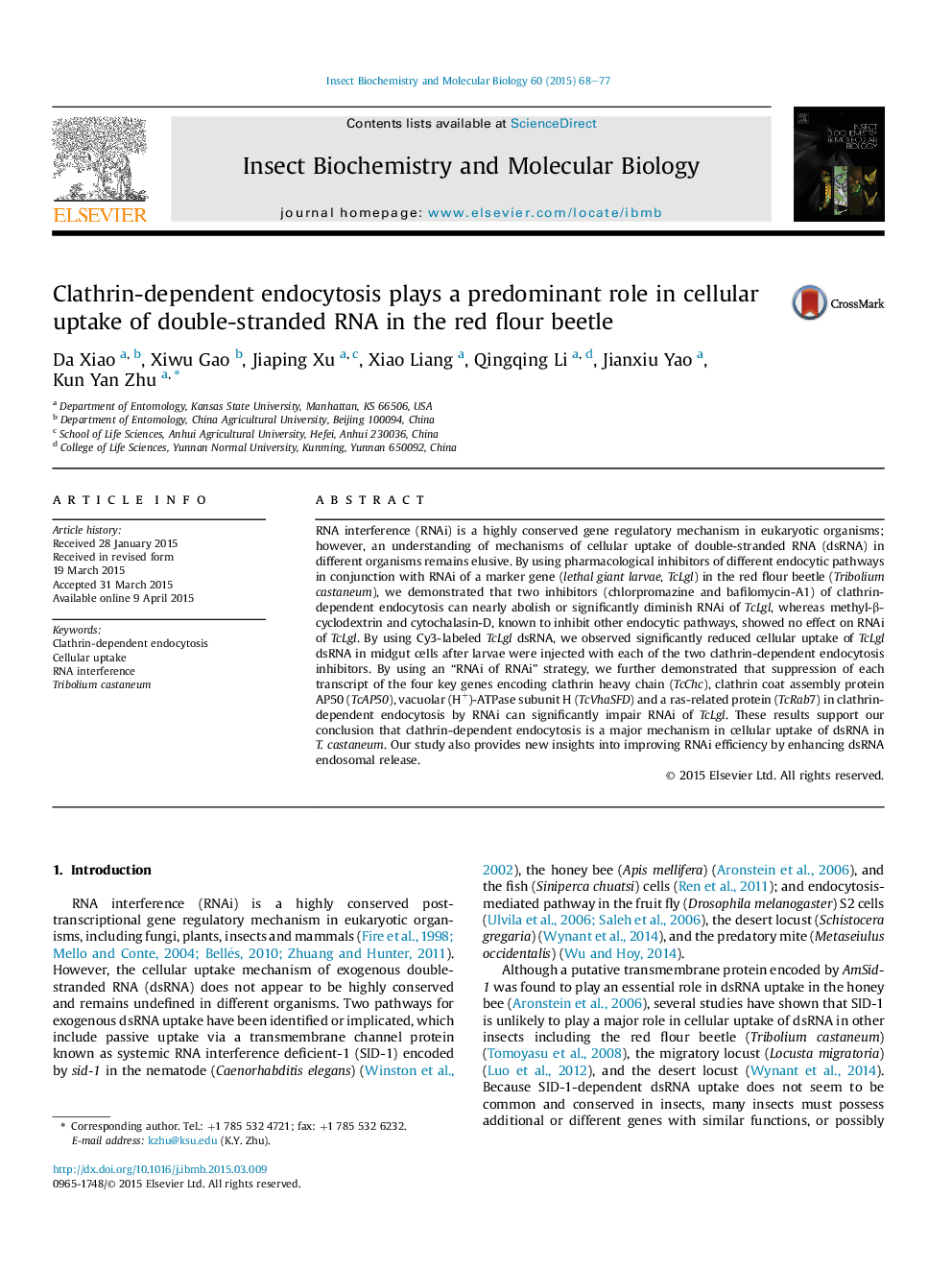 Clathrin-dependent endocytosis plays a predominant role in cellular uptake of double-stranded RNA in the red flour beetle