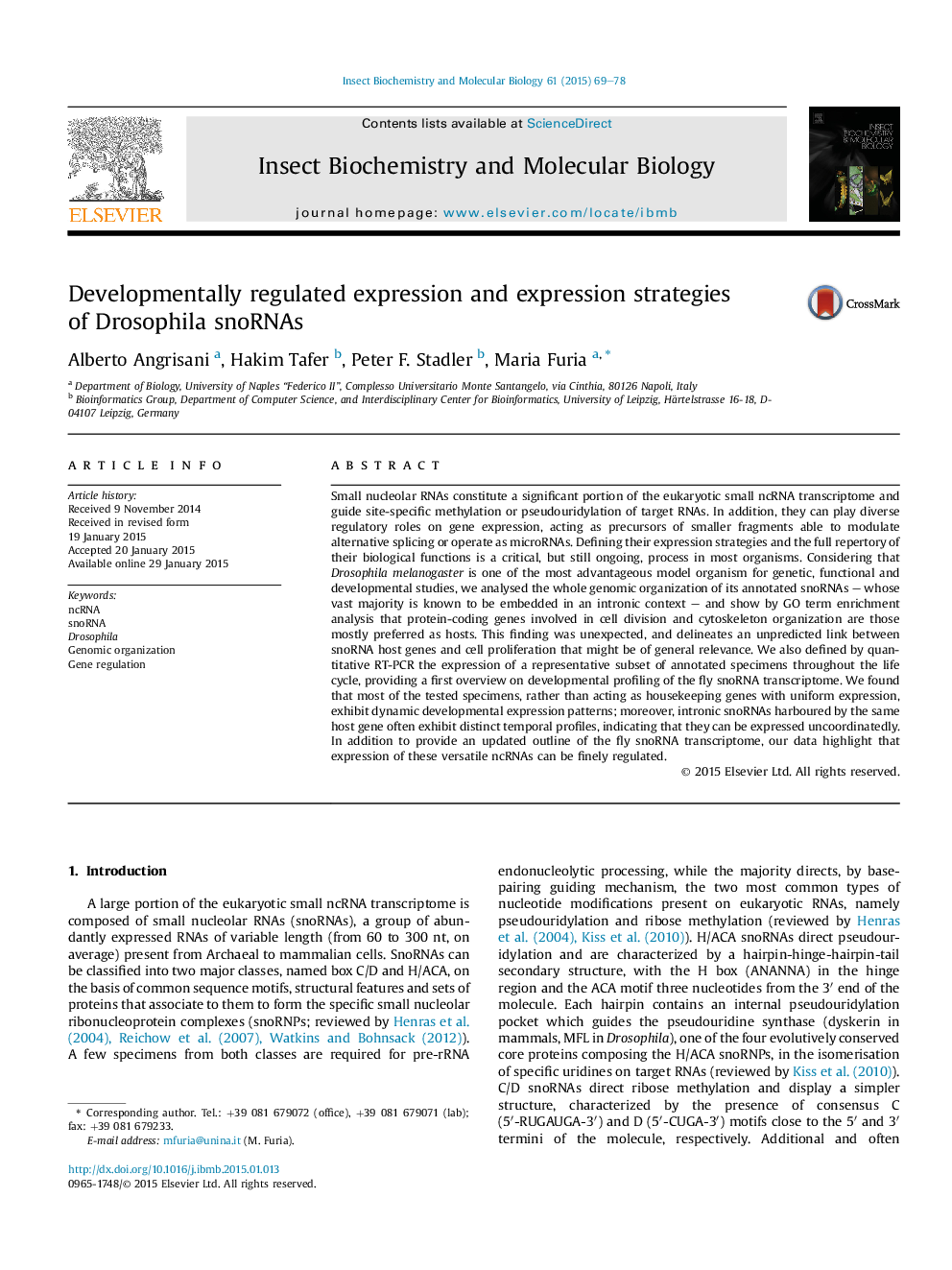 Developmentally regulated expression and expression strategies of Drosophila snoRNAs