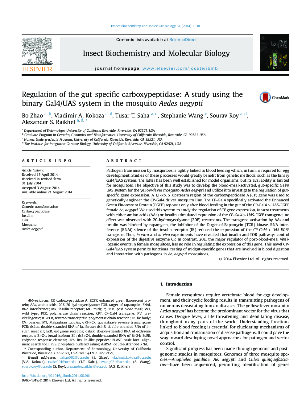 Regulation of the gut-specific carboxypeptidase: A study using the binary Gal4/UAS system in the mosquito Aedes aegypti