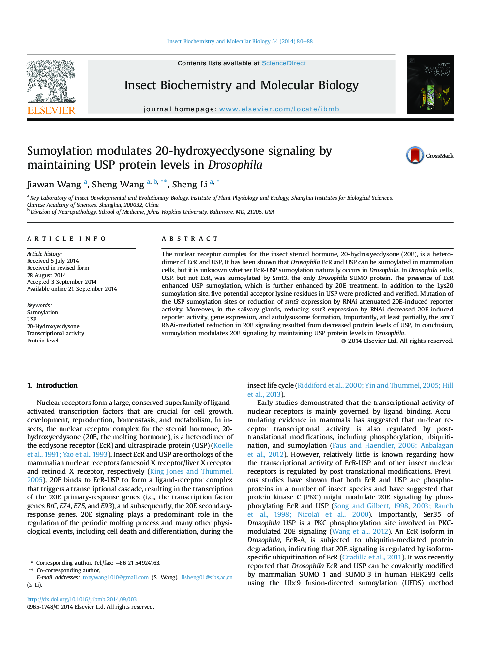 Sumoylation modulates 20-hydroxyecdysone signaling by maintaining USP protein levels in Drosophila
