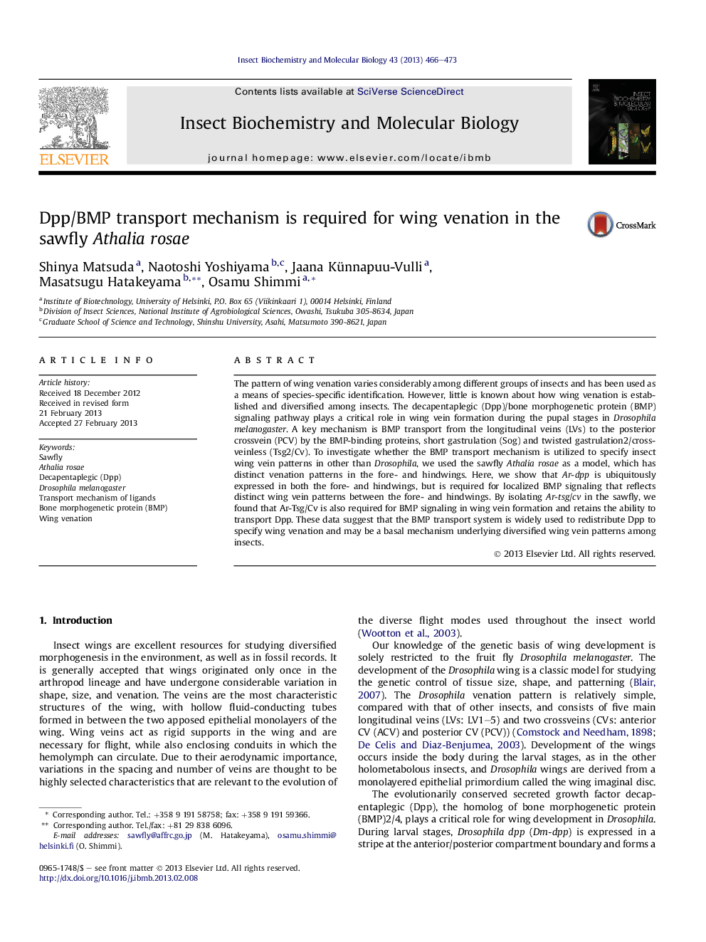 Dpp/BMP transport mechanism is required for wing venation in the sawfly Athalia rosae