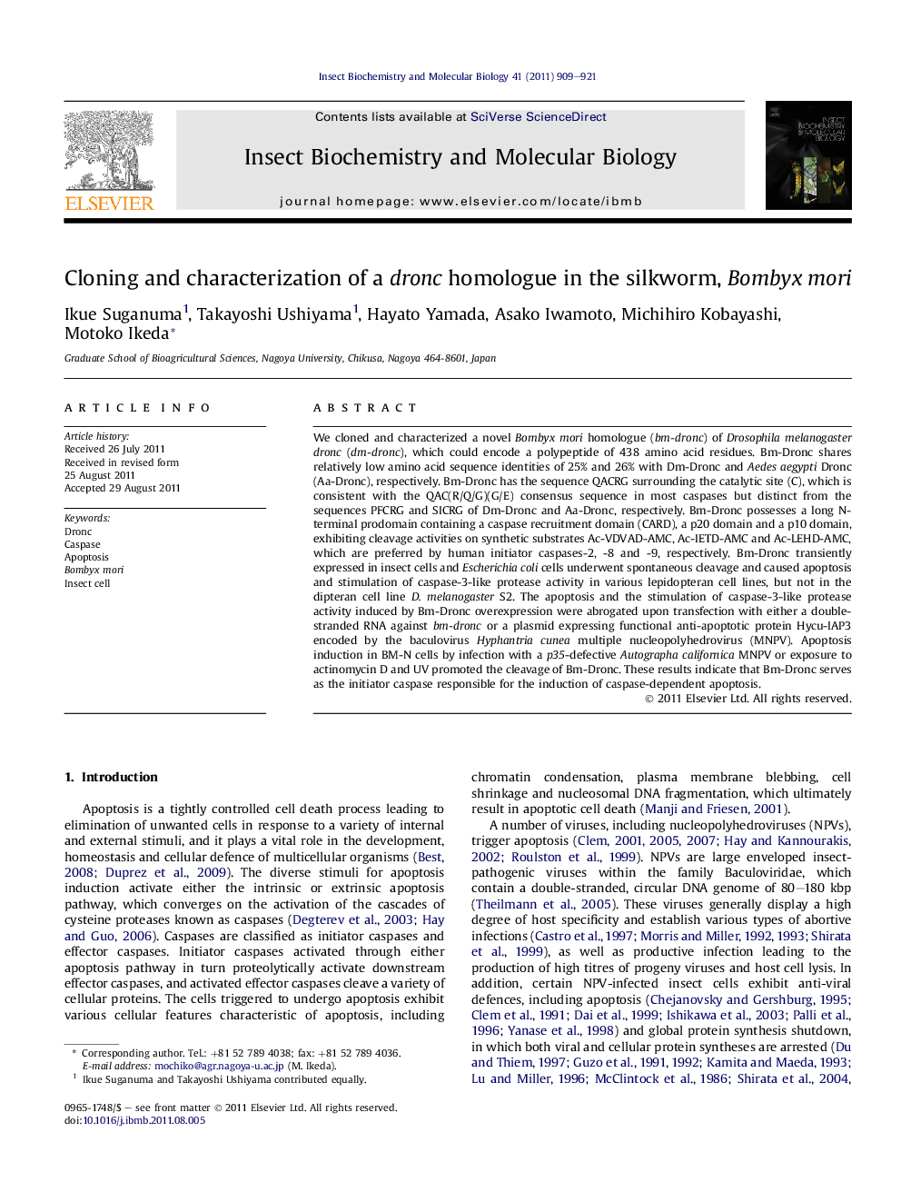 Cloning and characterization of a dronc homologue in the silkworm, Bombyx mori